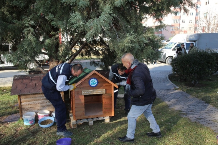 Sokak Hayvanlarına Yeni Kulübeler