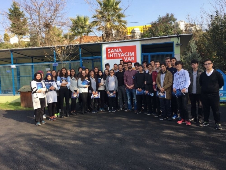 Gebze Veteriner İşlerinden 2017 Raporu