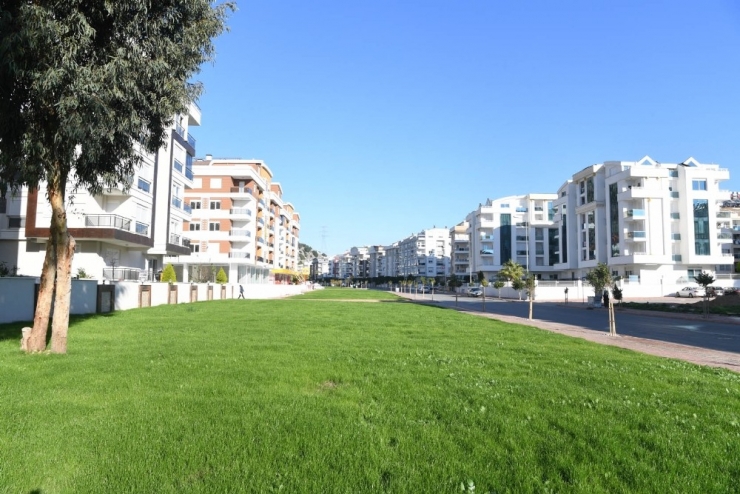 Konyaaltı Belediyesi’nden Yeşil Alan Çalışmaları