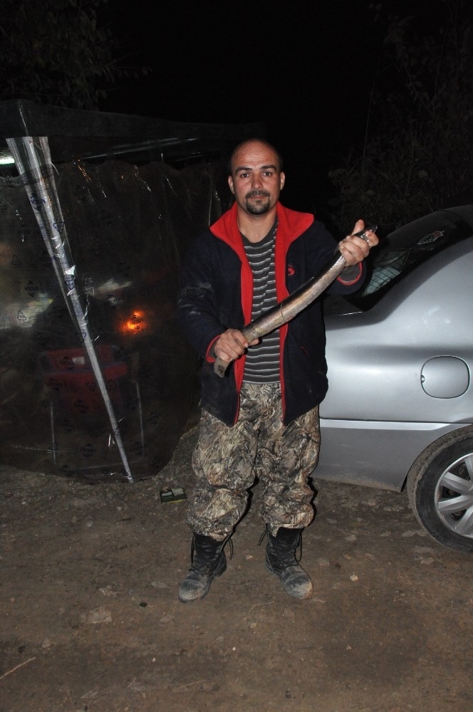 Tarsus’ta Yılan Balığı Yakalama Yarışması