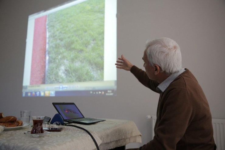 Belediye Personeline Yeşil Alan Eğitimi Verildi