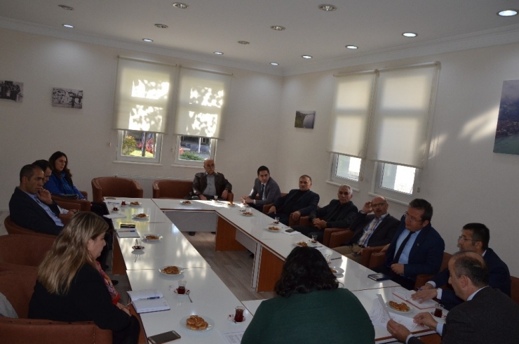 Ancaza: "Gençlerimiz Meslek Seçerken Çok Kararsız"