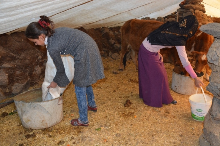 Bağış Yaparken Yazdığı Notla Herkesi Duygulandıran Öğrenci Konuştu