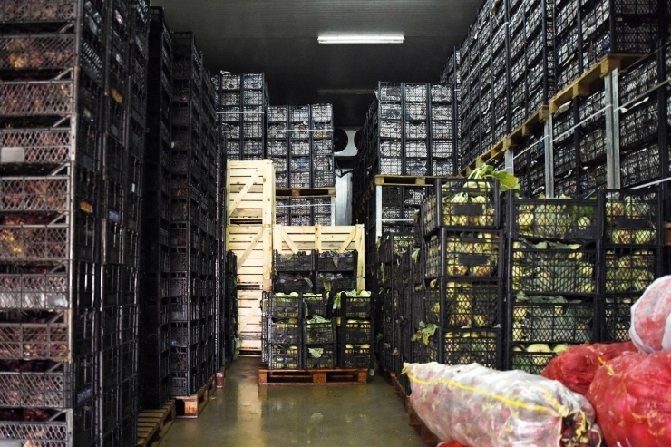 Tepebaşı Belediyesi Soğuk Hava Deposu İle Üreticinin Emeği Değer Kazanıyor