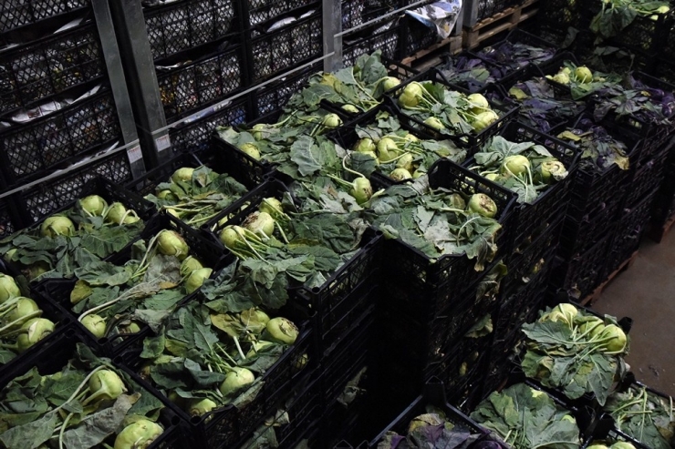 Tepebaşı Belediyesi Soğuk Hava Deposu İle Üreticinin Emeği Değer Kazanıyor