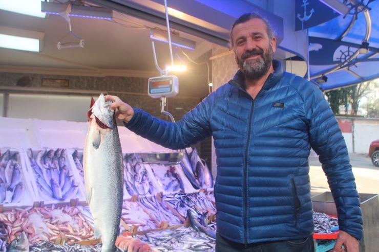 Devasa Somon Balığına Bilecik’te İlgi Çok