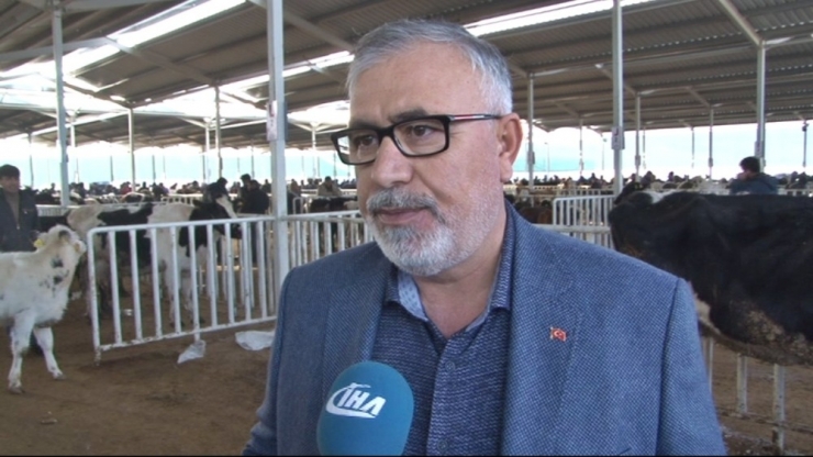 Aksaray’da ‘Hayvan Oteli’ne Tüccarlardan Büyük İlgi