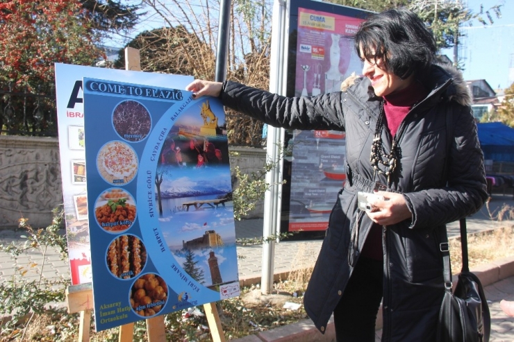 Bingöl’de ‘81 İliz Hepimiz Biriz’ Sergisi