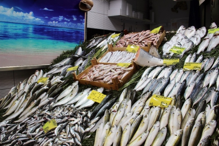 Denizlerin Prensi Gram Altınla Yarışıyor