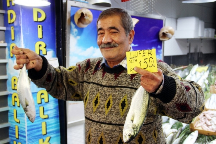 Denizlerin Prensi Gram Altınla Yarışıyor