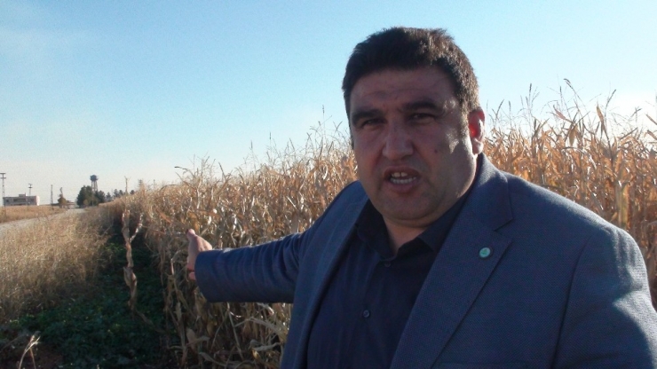 Çiftçilerden İthal Hububat Tepkisi