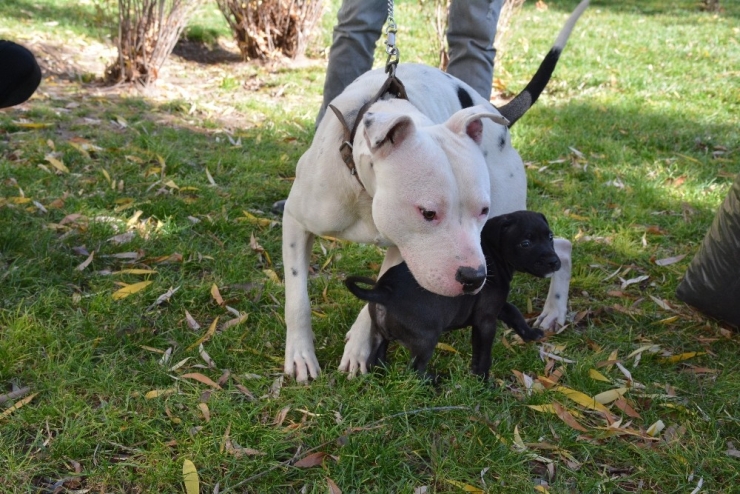 Eskişehir’de Yazdan Kalma Bir Gün
