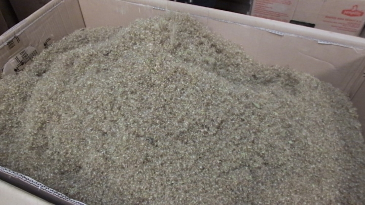 Burhaniye Stevia Üretim Merkezi Oldu