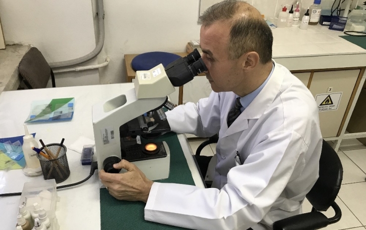 Uludağ Üniversitesi Dünya Tıp Literatürüne Girdi