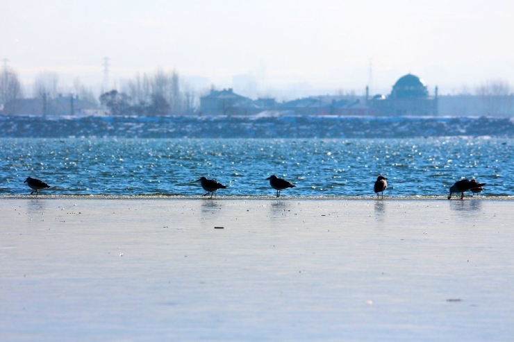 Van’ın Sıhke Gölü Buz Tuttu