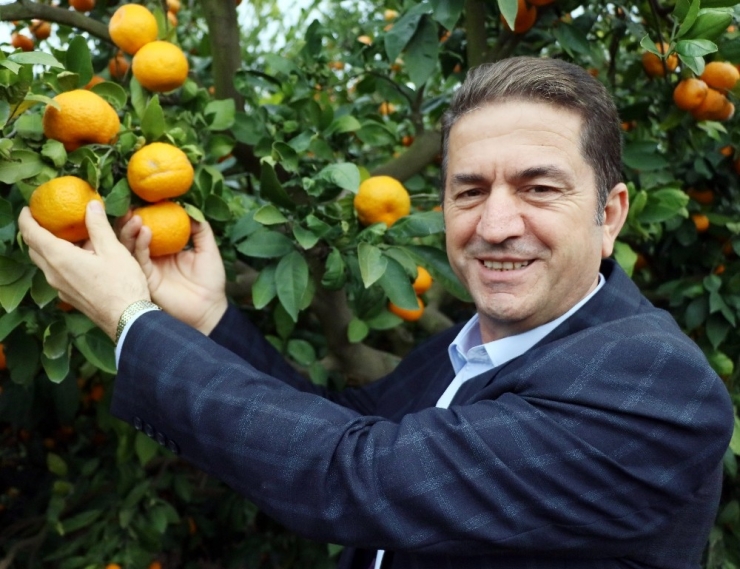 Narenciyeye Yeni Yıl Dopingi