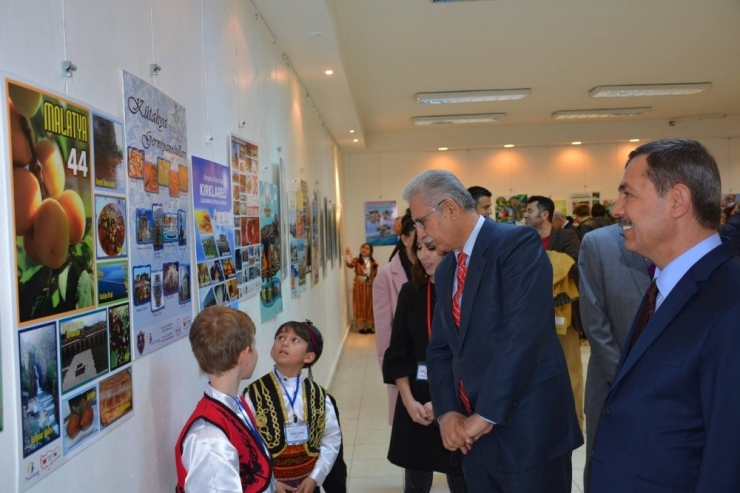 “Seksen Bir İliz, Hepimiz Sergisi” Ne Yoğun İlgi