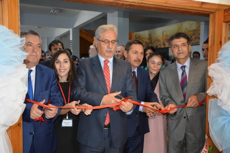 “Seksen Bir İliz, Hepimiz Sergisi” Ne Yoğun İlgi