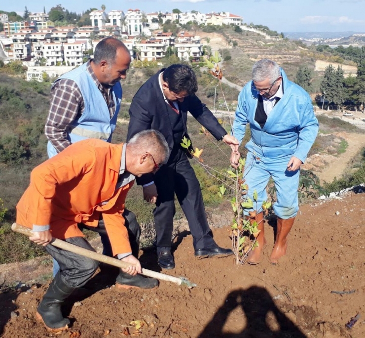 "Orman Dede" 100 Bin Fidanı Toprakla Buluşturdu