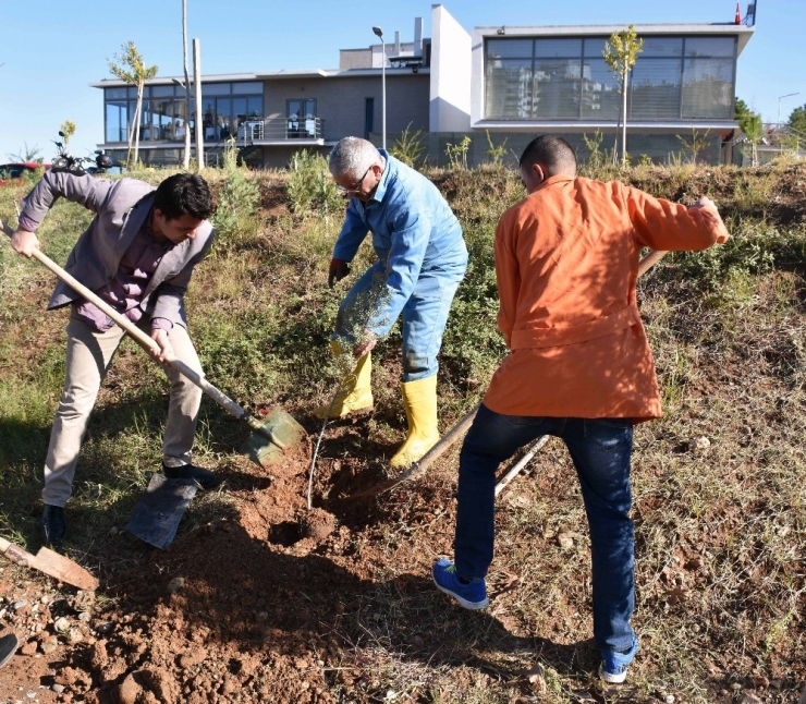 "Orman Dede" 100 Bin Fidanı Toprakla Buluşturdu