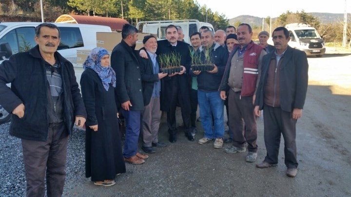 Büyükorhan Yaban Mersini Üssü Olacak