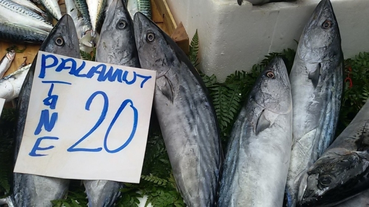 Palamudun Fiyatı Cep Yakıyor