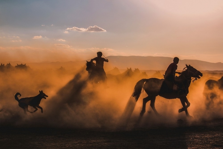 Afad ‘Altın Kamera Fotoğraf Yarışması Ödülleri’ Sahipleriyle Buluşuyor
