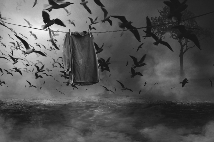 Afad ‘Altın Kamera Fotoğraf Yarışması Ödülleri’ Sahipleriyle Buluşuyor