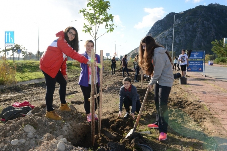 Konyaaltı’nda 40 Genç 40 Fidan Dikti