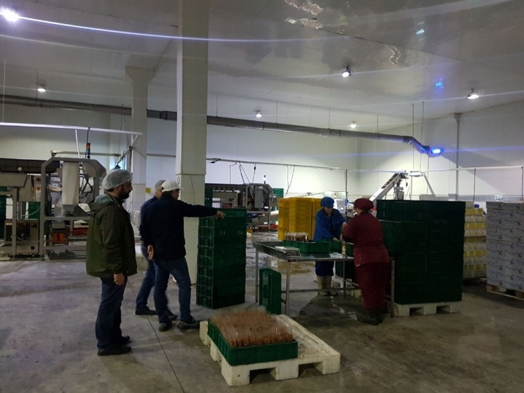 Magider Ve Algider’den Üzüm Tanıtım Atağı