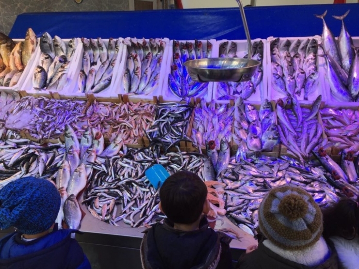 Minik Öğrenciler Hangi Mevsimde Hangi Balığın Yenileceği Öğrendi