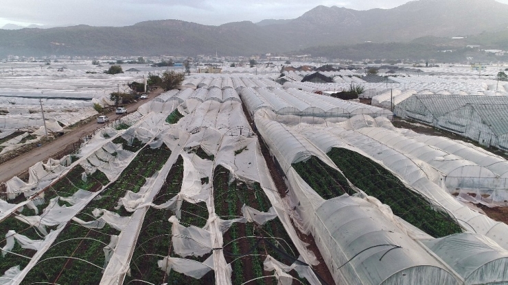 Tarsim 2017 Yılında Üreticilere 850 Milyon Tl Ödedi