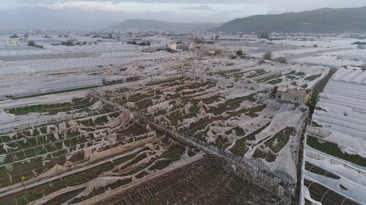 Tarsim 2017 Yılında Üreticilere 850 Milyon Tl Ödedi