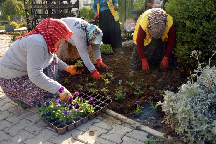 Akdeniz’de Parklar Çiçek Bahçesine Döndü