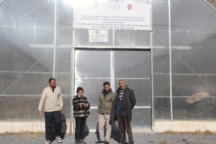 Müdür Şimşek Köylerdeki Seraları Ziyaret Etti