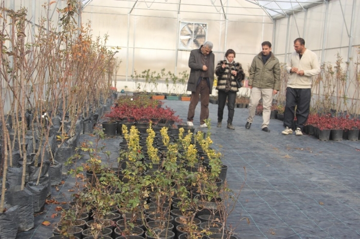 Müdür Şimşek Köylerdeki Seraları Ziyaret Etti