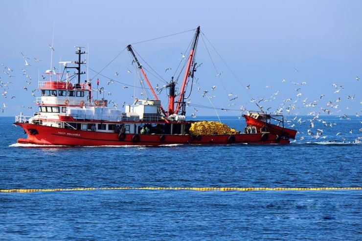 Balıkçılar Gürcistan Yolcusu