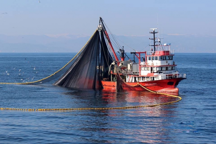 Balıkçılar Gürcistan Yolcusu