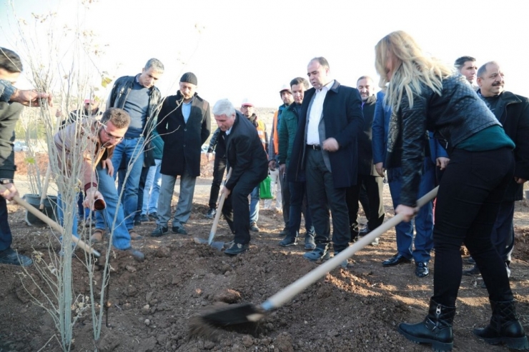 Çiftçi Öğrencilerle Ağaç Dikimini Gerçekleştirdi