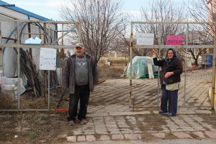 Şehir Hayatından Sıkılıp Geldikleri Sivas’ta Sera Kurdular