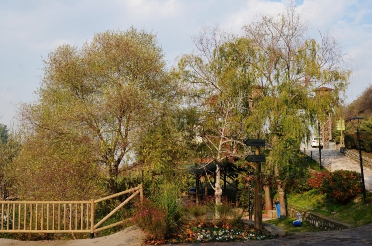 Yunusemre Kış Aylarında Da Rengarenk