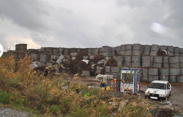 Çiftçilerin Derdi, Enerjiye Dönüyor