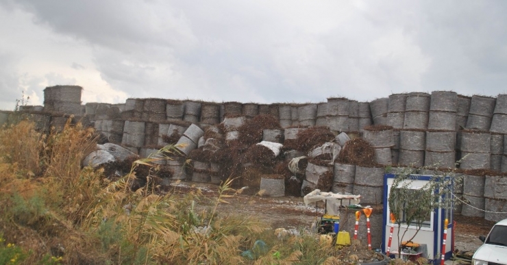 Çiftçilerin Derdi, Enerjiye Dönüyor