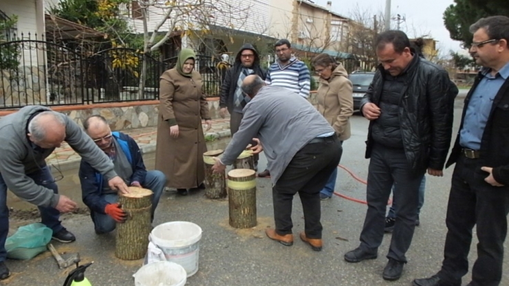 Mantar Üreticileri Kredi Bekliyor