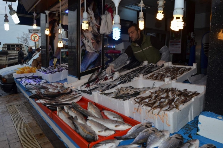 Hamsi’nin Ateşi Düşmüyor