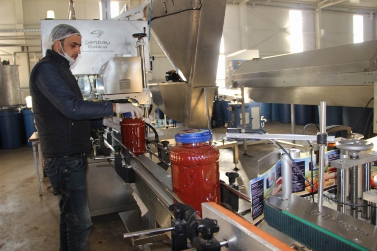 Tkdk’dan Destek Aldı, Onlarca Gence İş Alanı Oluşturdu