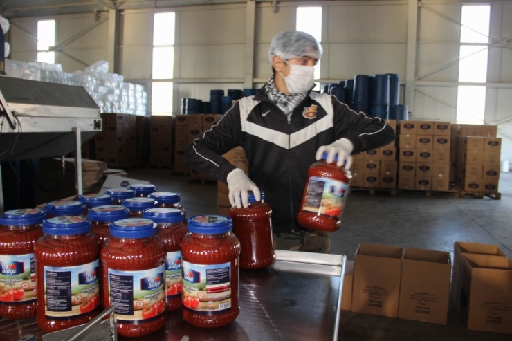 Tkdk’dan Destek Aldı, Onlarca Gence İş Alanı Oluşturdu