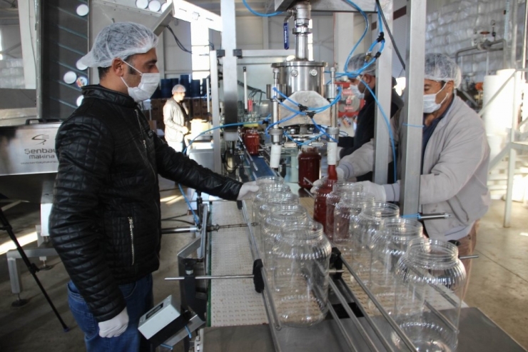 Tkdk’dan Destek Aldı, Onlarca Gence İş Alanı Oluşturdu