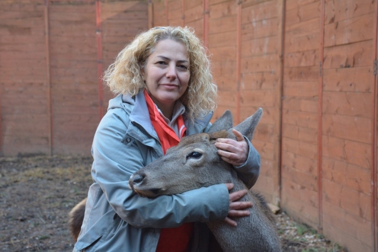 Umay Ve Midas Doğal Hayatlarına Kavuştu