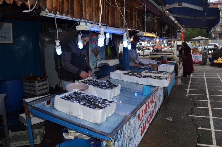 Hamsi’nin Ateşi Düşmüyor